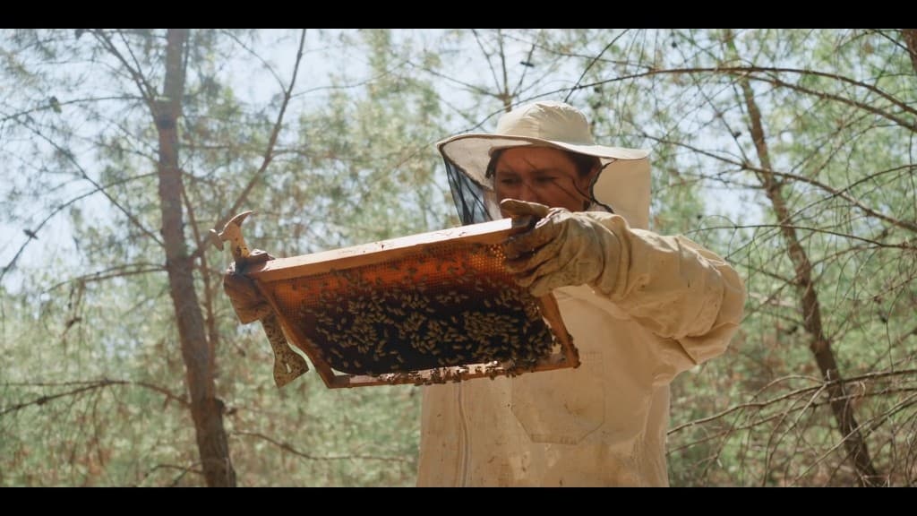 From Ashes Part I: Land of the Honey Bug film still 1