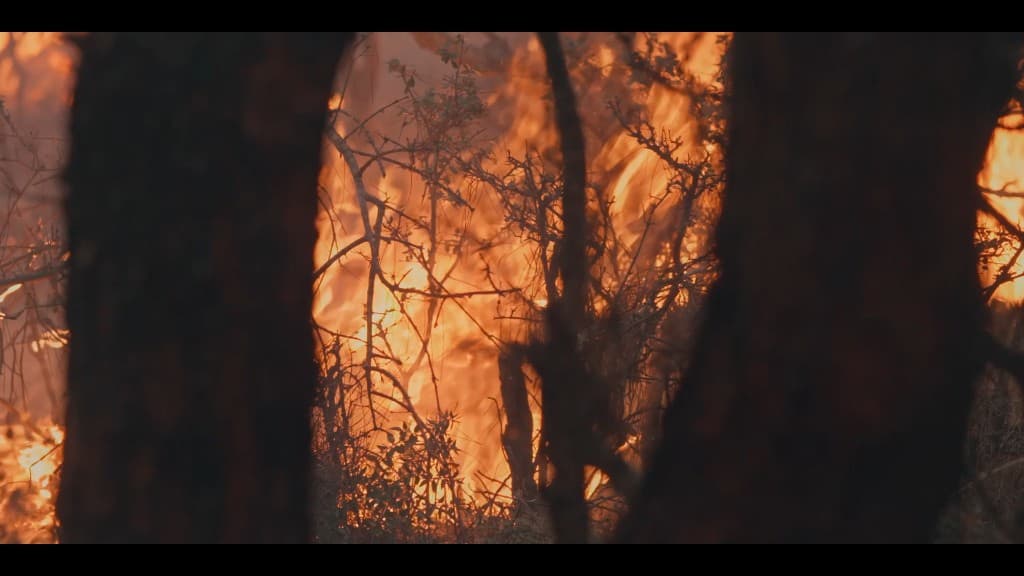 From Ashes Part II: The Mountainside of Ormana film still 2
