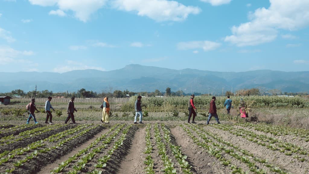 Green Refuge film still 2