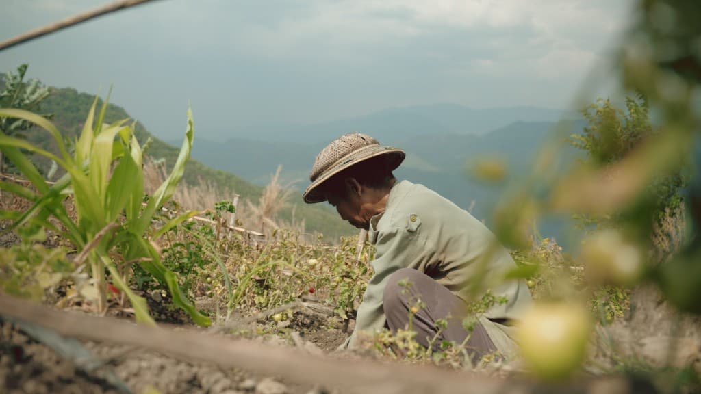 Green Refuge film still 6