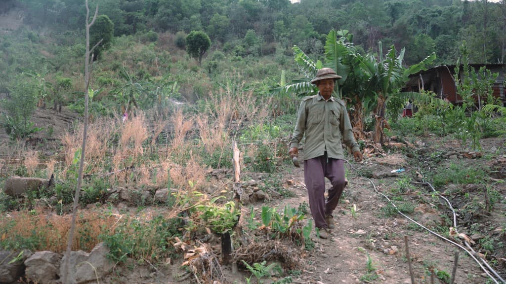 Green Refuge film still 7