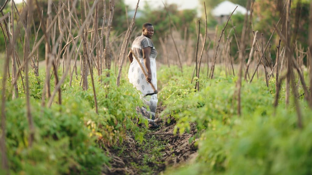 Kuzaya film still 3