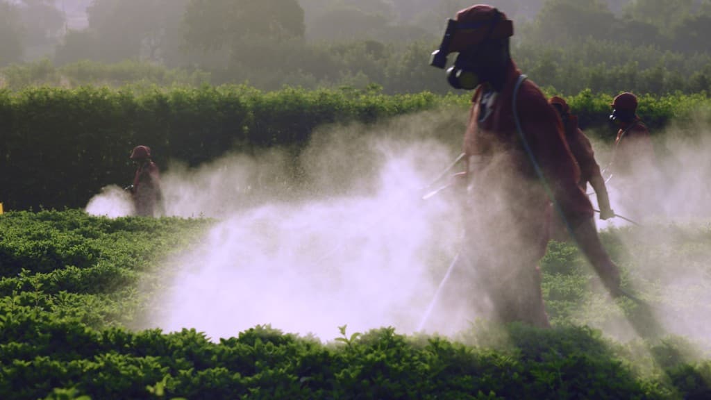 Kuzaya film still 7