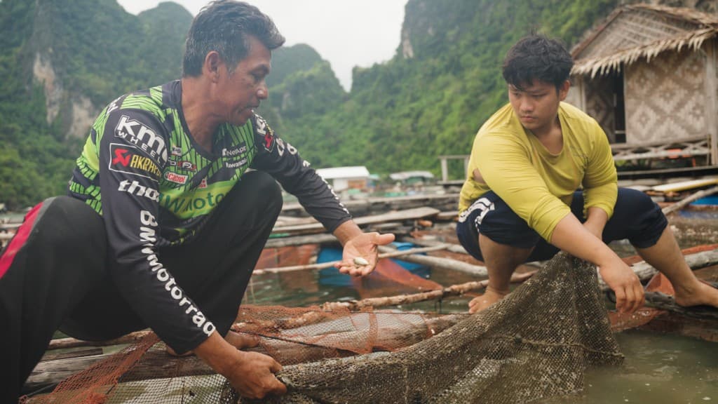 Worldview Seaweed film still 3