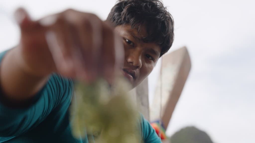 Worldview Seaweed film still 6